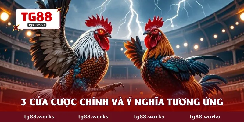 3 cửa cược chính và ý nghĩa tương ứng