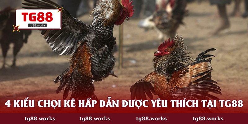 4 kiểu chọi kê hấp dẫn được yêu thích tại TG88
