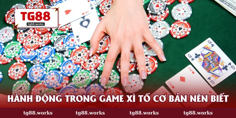 5 hành động trong cách chơi Poker online nên biết