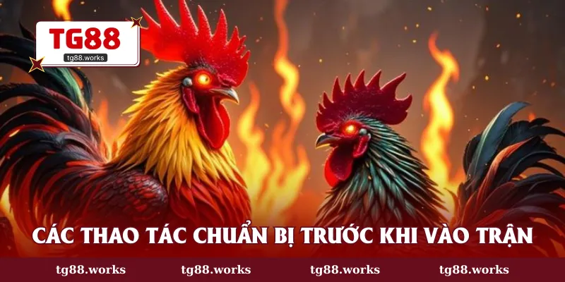 Các thao tác chuẩn bị trước khi vào trận