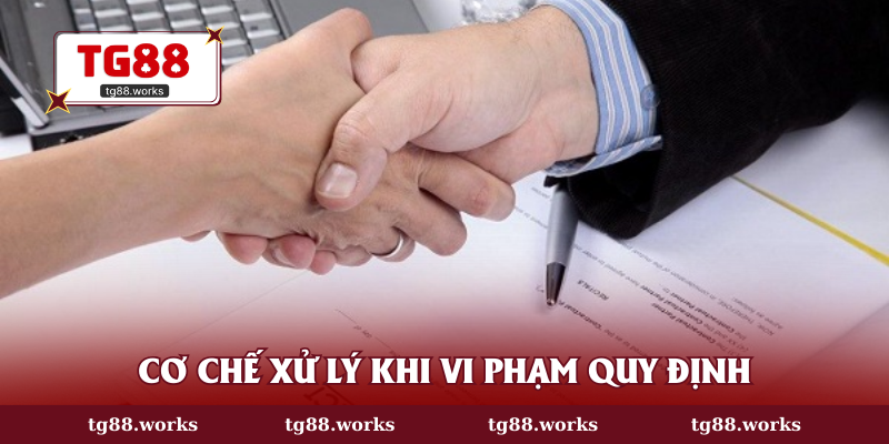 Cơ chế xử lý khi vi phạm quy định