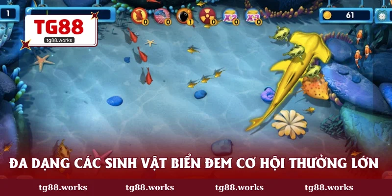 Đa dạng các sinh vật biển đem cơ hội thưởng lớn 