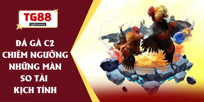 đá gà C2