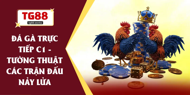 đá gà trực tiếp c1