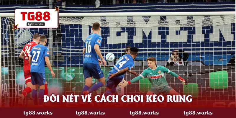 Đôi nét về cách chơi kèo rung