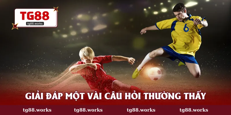 Giải đáp một vài câu hỏi thường thấy về CMD thể thao