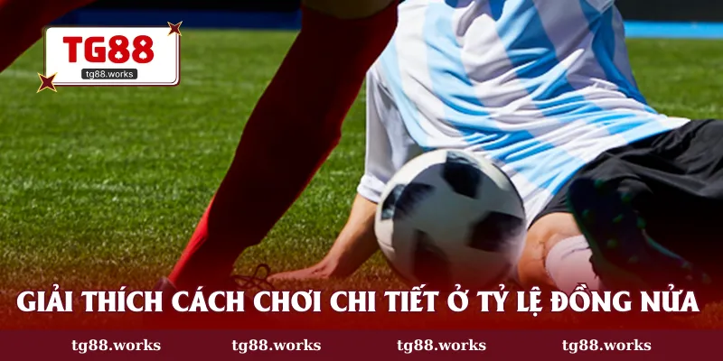 Giải thích cách chơi chi tiết ở tỷ lệ đồng nửa handicap