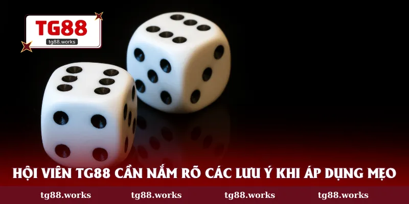 Hội viên TG88 cần nắm rõ các lưu ý khi áp dụng mẹo