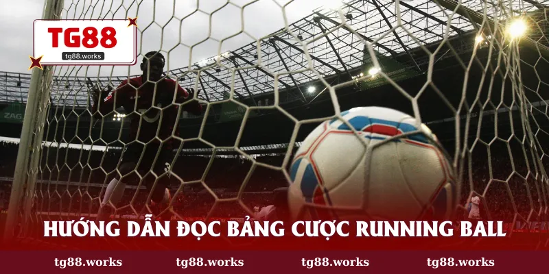Hướng dẫn đọc bảng cược Running Ball nhanh chóng