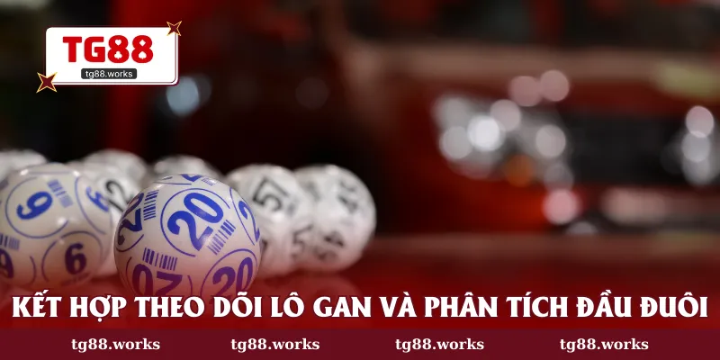 Kết hợp theo dõi lô gan và phân tích đầu đuôi