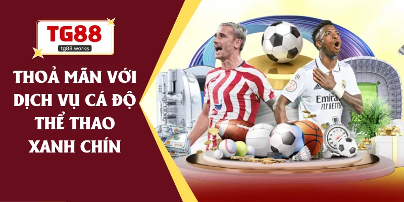 Thoả mãn với dịch vụ cá độ thể thao xanh chín