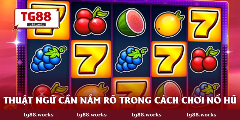 Thuật ngữ slot đổi thưởng bet thủ cần biết
