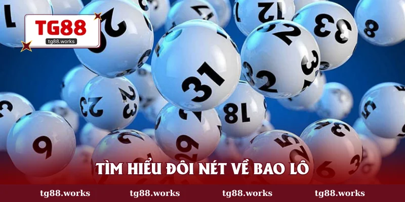 Tìm hiểu đôi nét về bao lô