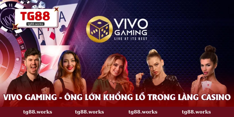 Vivo Gaming - Ông lớn khổng lồ trong làng casino